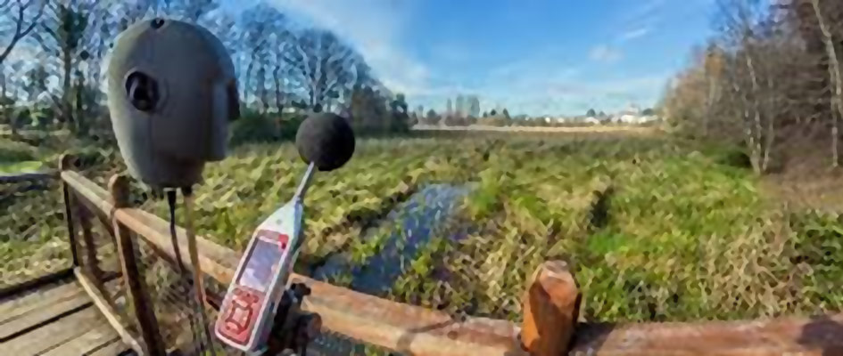 Noise Surveys